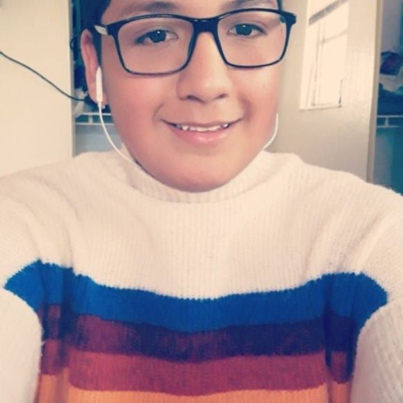 Meet your Posher, Leo - Picture 1 of 1